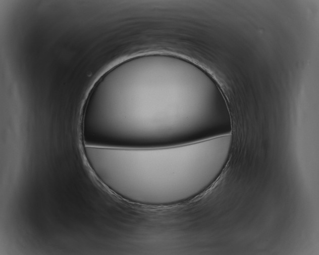 X0000099571534200805160716