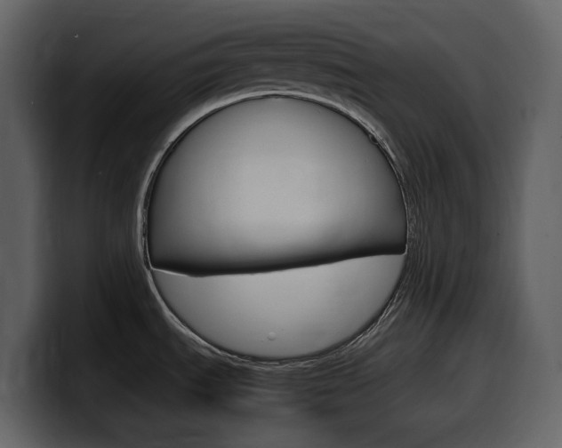 X0000099571535200805160716