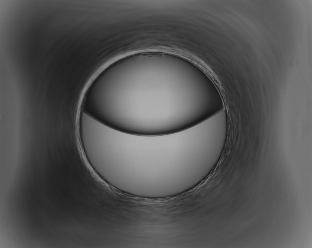 X0000099571536200805160716
