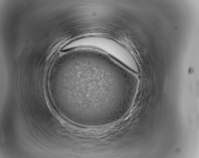 X0000099570001200805161528