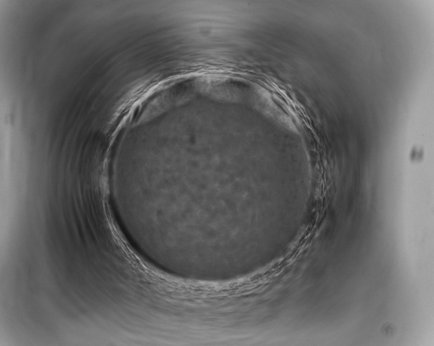 X0000099570002200805161528