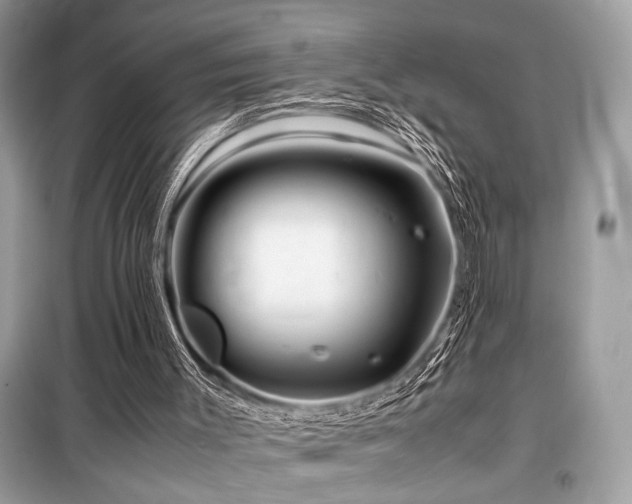 X0000099570003200805161528