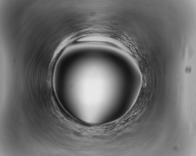 X0000099570004200805161528