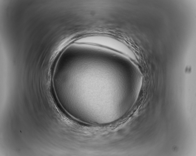 X0000099570005200805161527