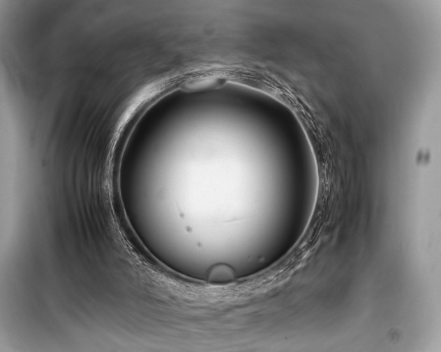 X0000099570006200805161527