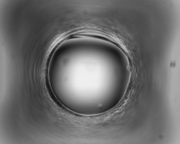 X0000099570007200805161527