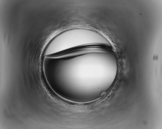 X0000099570008200805161527