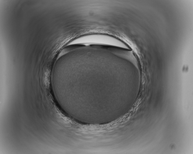 X0000099570009200805161527