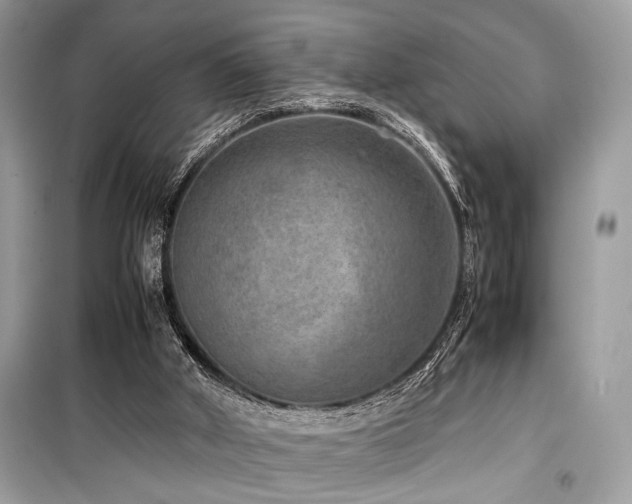 X0000099570010200805161527