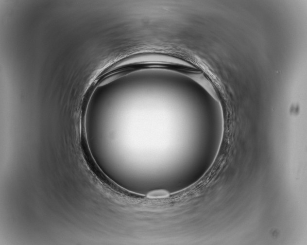 X0000099570011200805161527