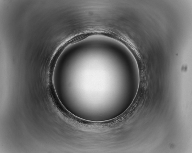 X0000099570012200805161527