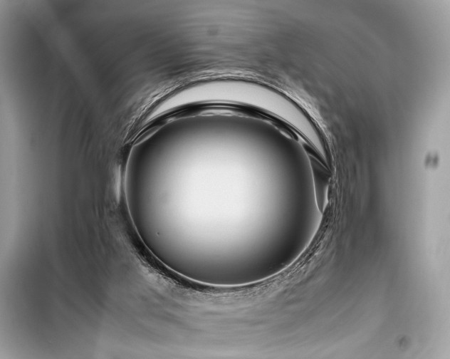 X0000099570013200805161527