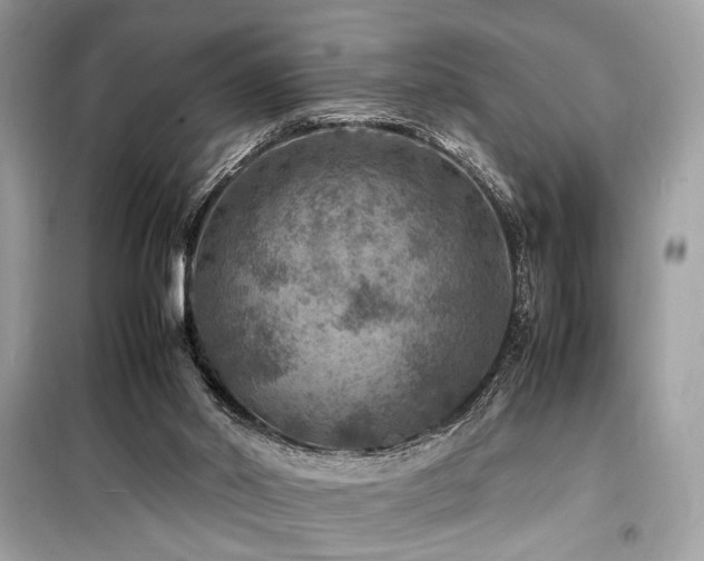 X0000099570014200805161527