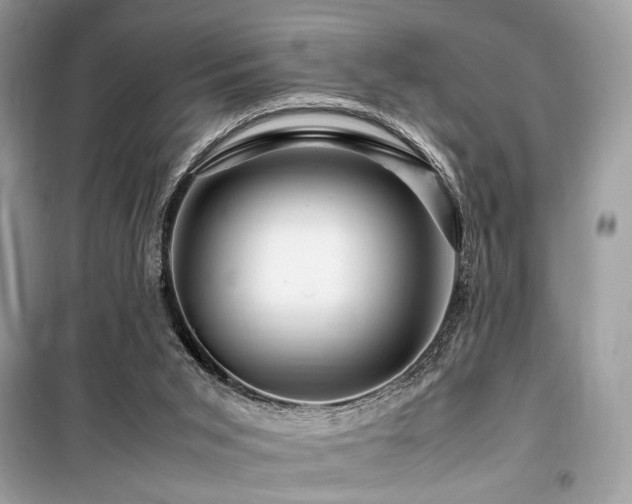 X0000099570015200805161527