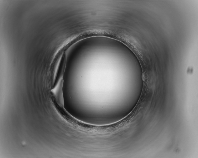 X0000099570016200805161527