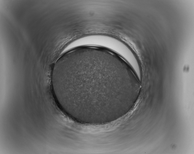 X0000099570017200805161527