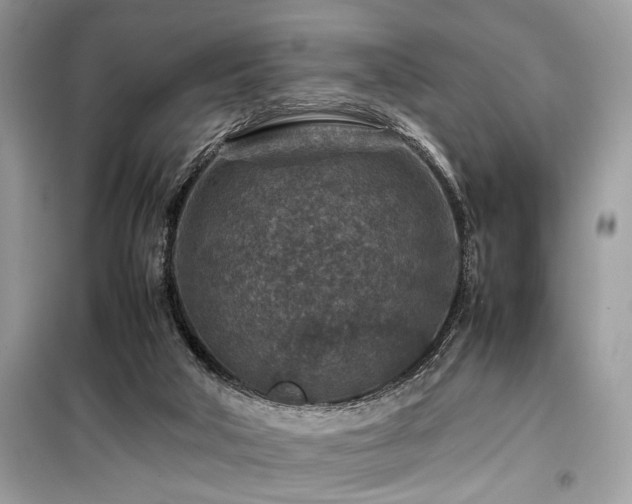 X0000099570018200805161527