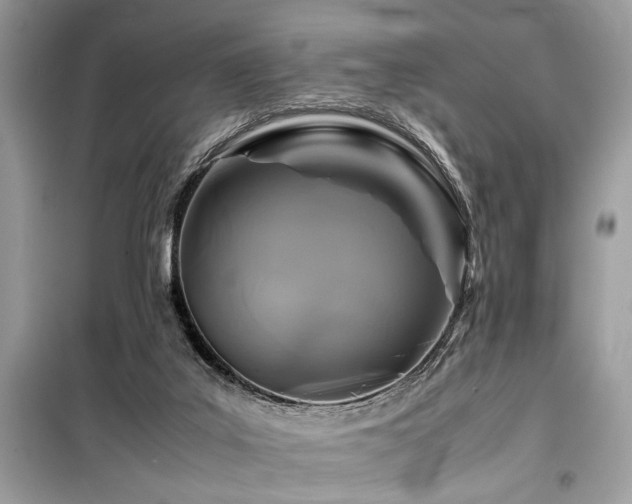 X0000099570019200805161527