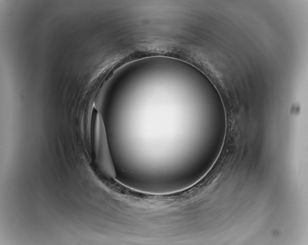 X0000099570020200805161527