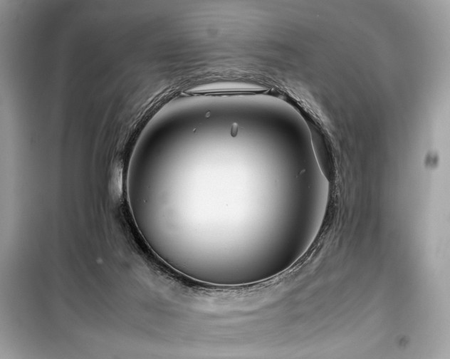 X0000099570021200805161527