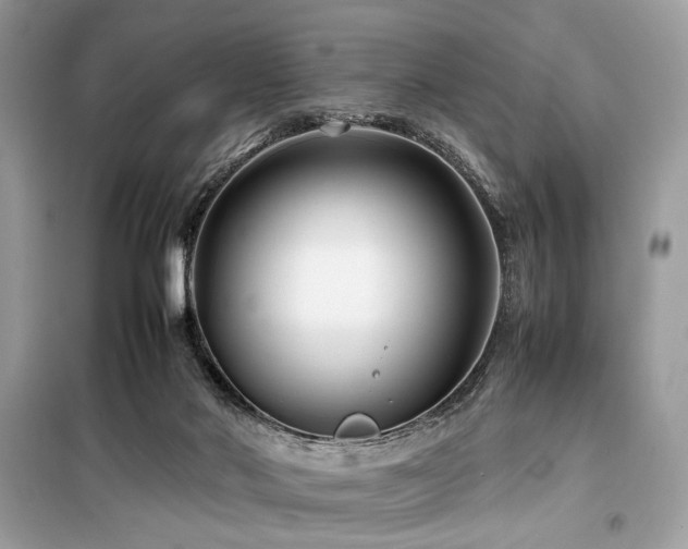 X0000099570022200805161527