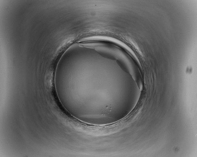 X0000099570023200805161527