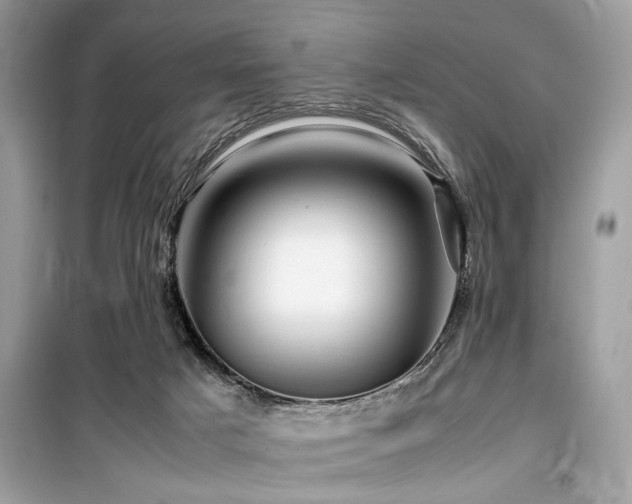 X0000099570025200805161527