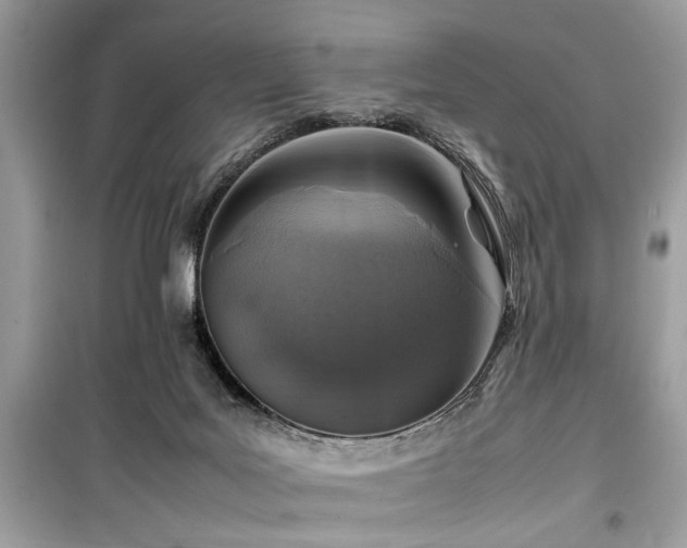 X0000099570027200805161527