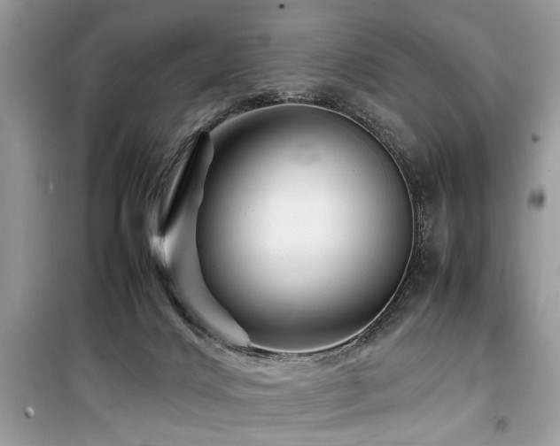 X0000099570028200805161527