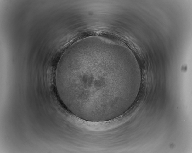 X0000099570030200805161527