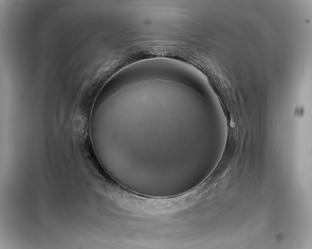 X0000099570031200805161527