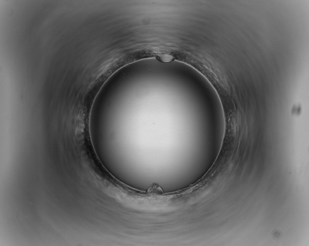 X0000099570032200805161527