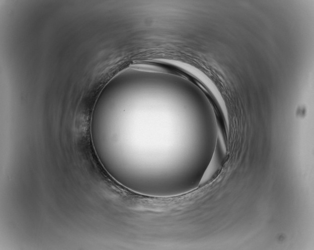 X0000099570033200805161527