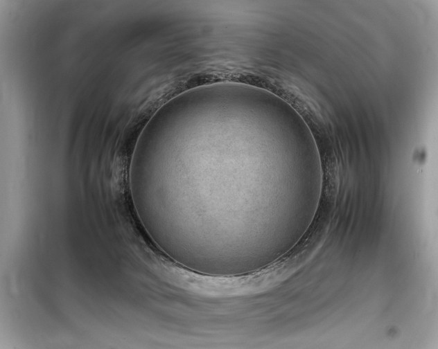 X0000099570034200805161527