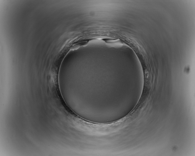 X0000099570035200805161527