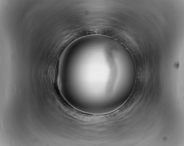 X0000099570036200805161527