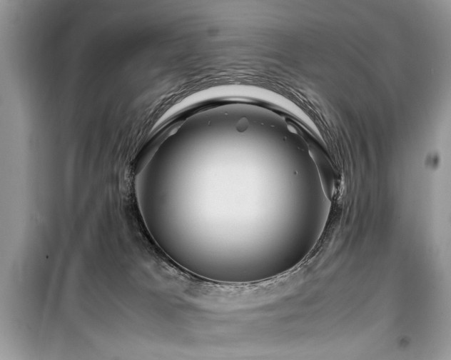 X0000099570037200805161527