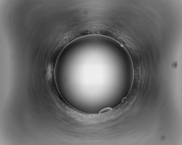 X0000099570038200805161527