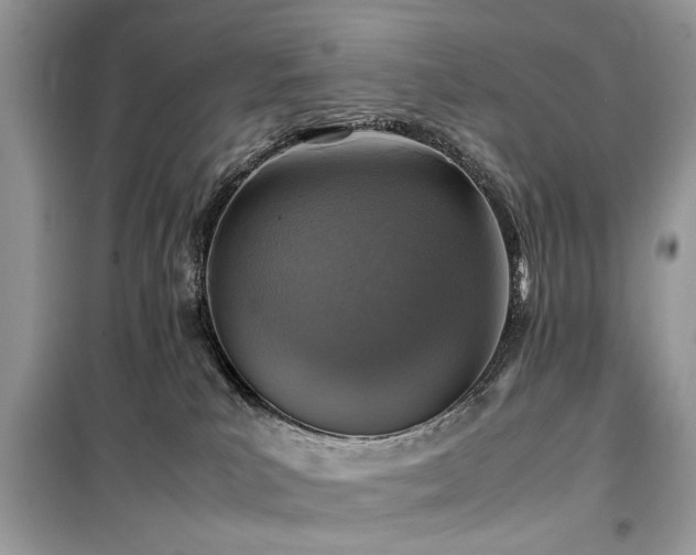 X0000099570039200805161527