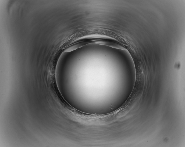 X0000099570040200805161527