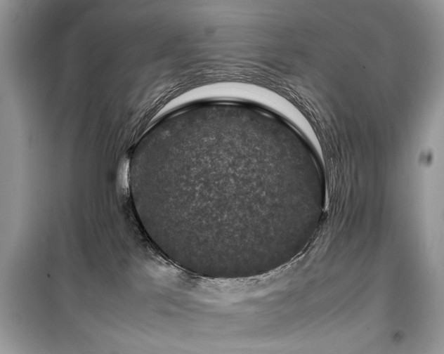 X0000099570041200805161527