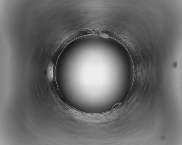 X0000099570042200805161527