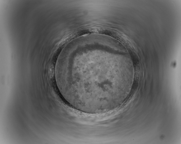 X0000099570043200805161527