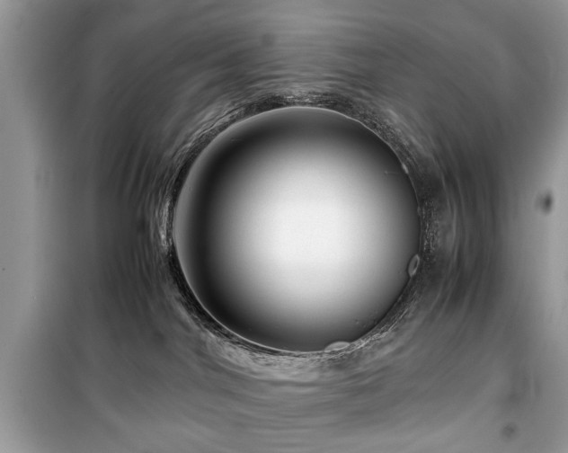 X0000099570044200805161527