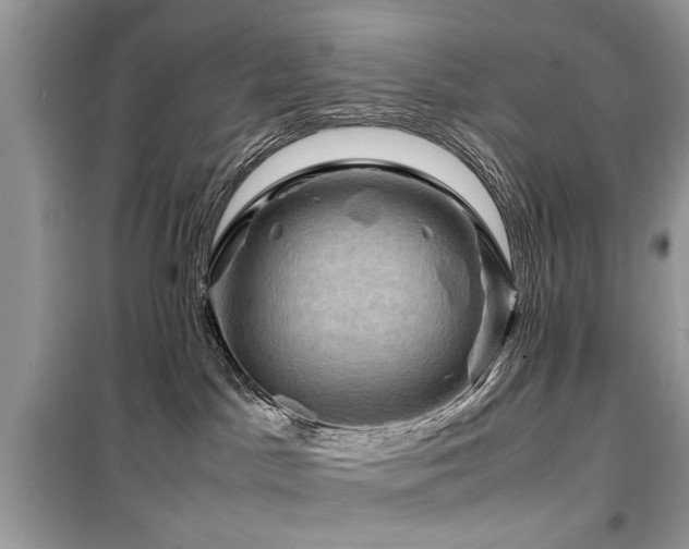 X0000099570045200805161527