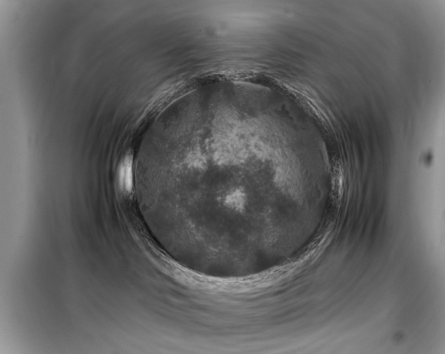 X0000099570046200805161527