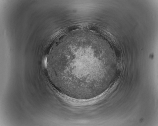 X0000099570047200805161527