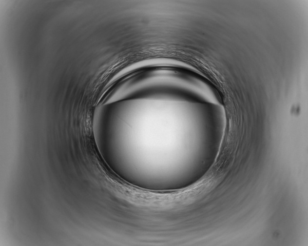 X0000099570048200805161527