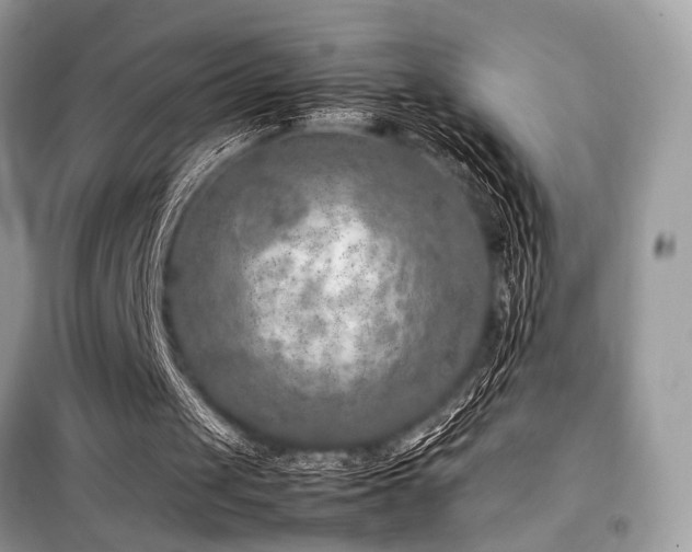 X0000099570049200805161526