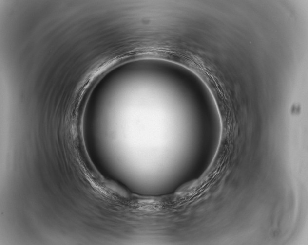 X0000099570050200805161526